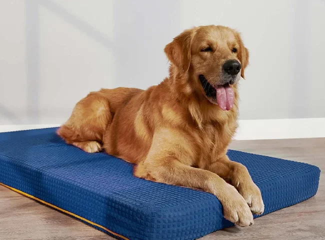 SleepyCat Dog Bed, Splash Resistent M Pet Bed