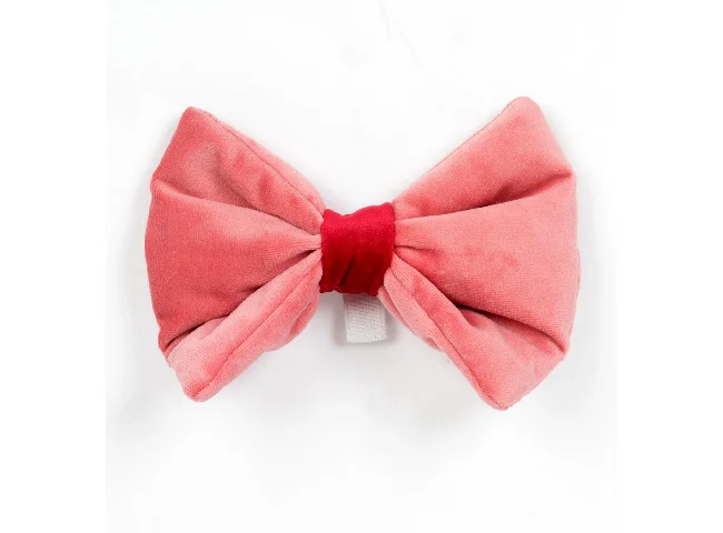 WIGGLE TWIDDLE Bow Tie for Dog