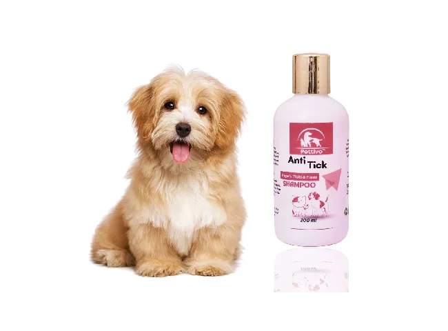 Anti-Tick and Flea Shampoo Flea and Tick Mixed Fruit Fragrance Dog Shampoo (200 ml)