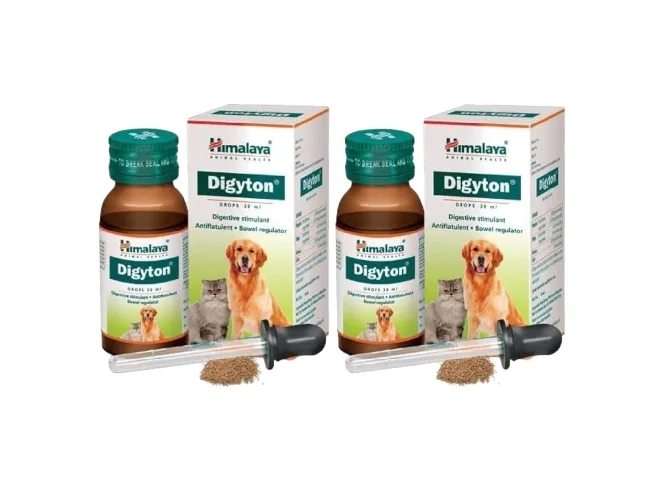 Digyton Digestive Care Liquid