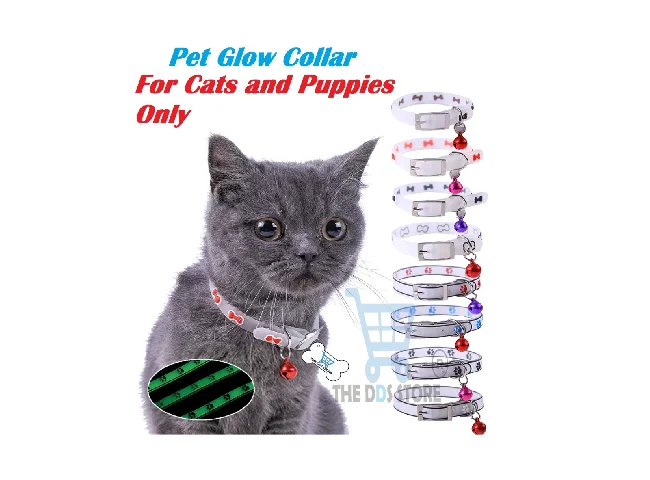 THE DDS STORE Cat Everyday Collar