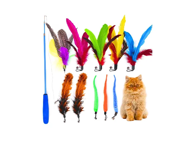 Cat Toy Bundle – 11 Pieces with Retractable Wands & Natural Feather Toys