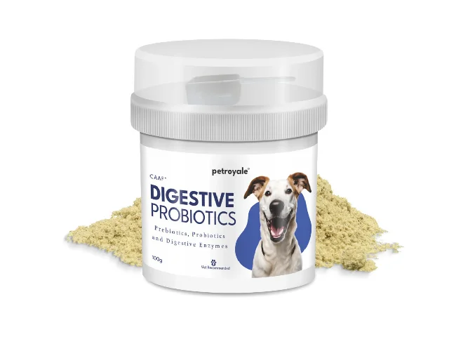Digestive Probiotics Supplement Improves Gut Health & Indigestion Pet Health Supplements (100 g)